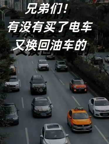 685bb21e131d9.jpg